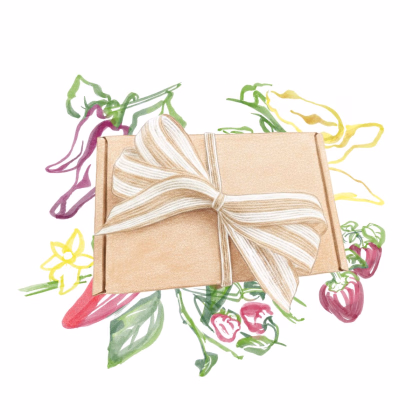 Dárkový set pro pěstitele chilli - balíček semínek