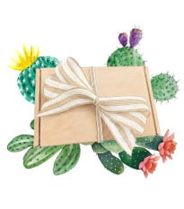 Dárkový set pro pěstitele kaktusů - balíček semínek