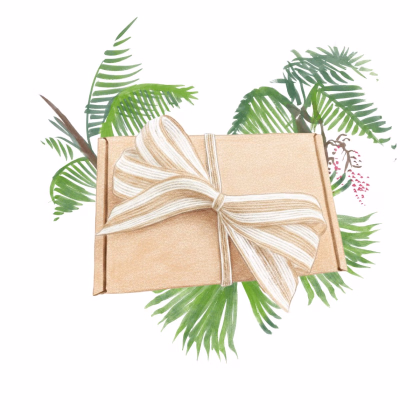 Dárkový set pro pěstitele palem - balíček semínek