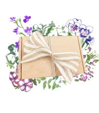 Dárkový set květin do truhlíků - balíček semínek