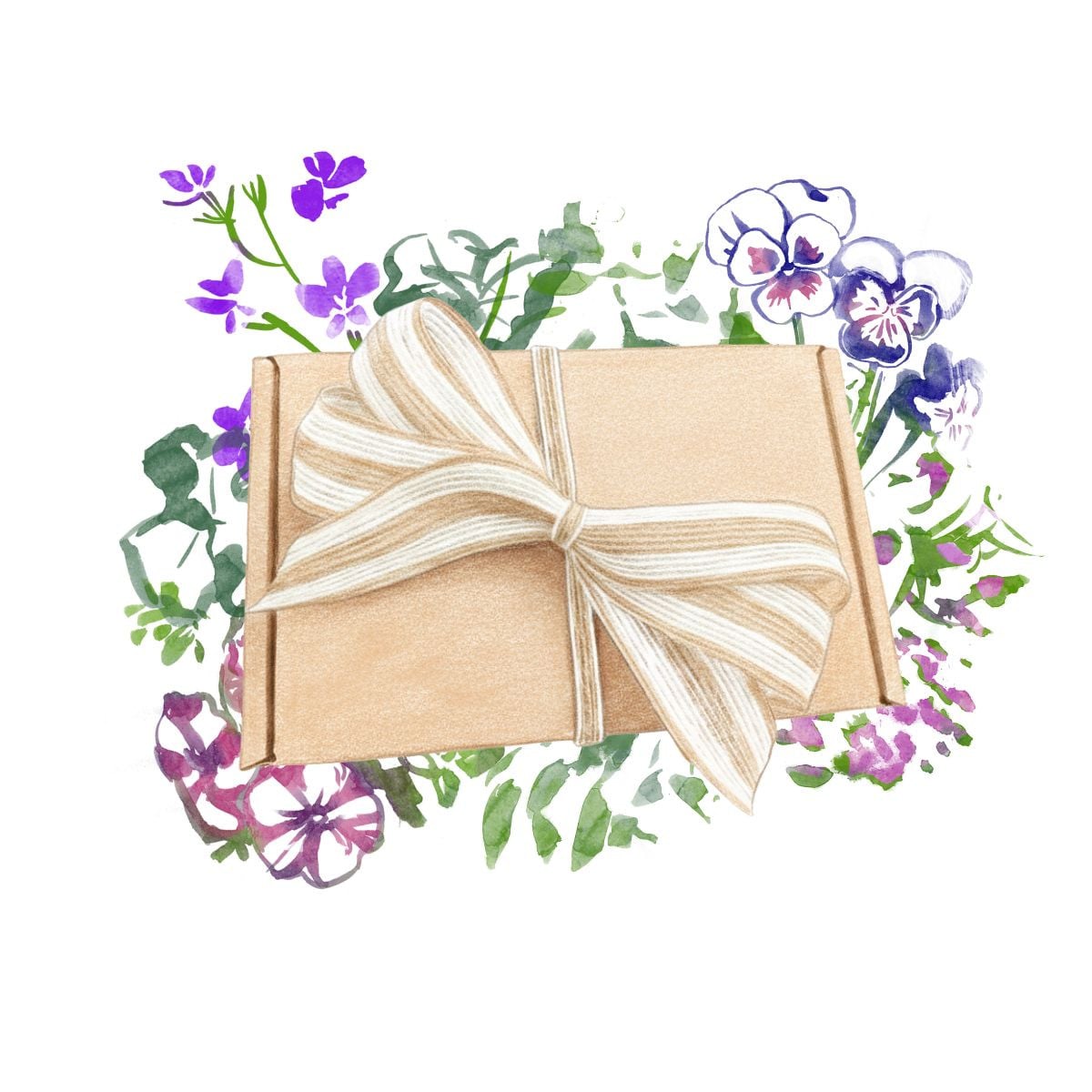 Dárkový set květin do truhlíků - balíček semínek