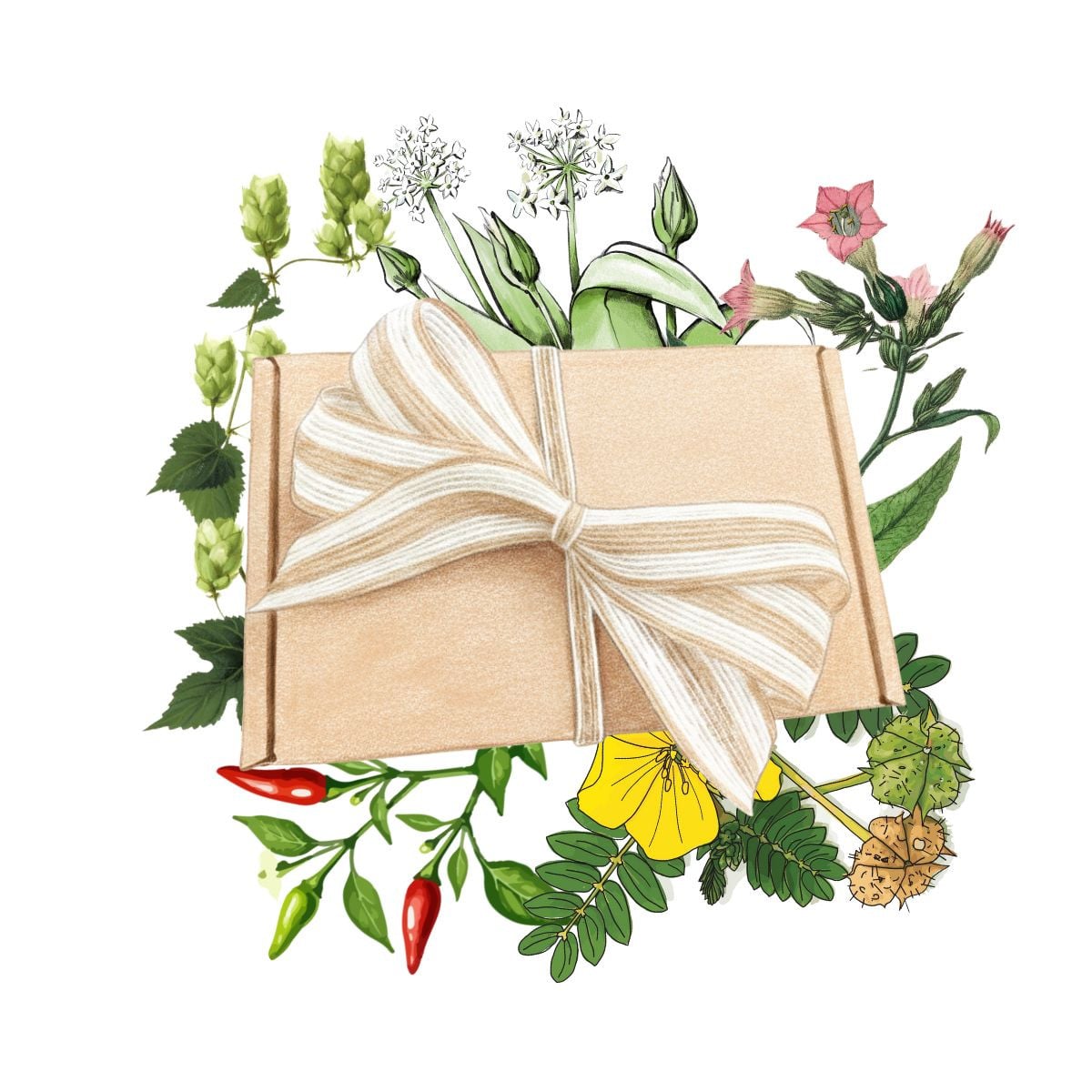 Dárkový set pro muže - balíček semínek