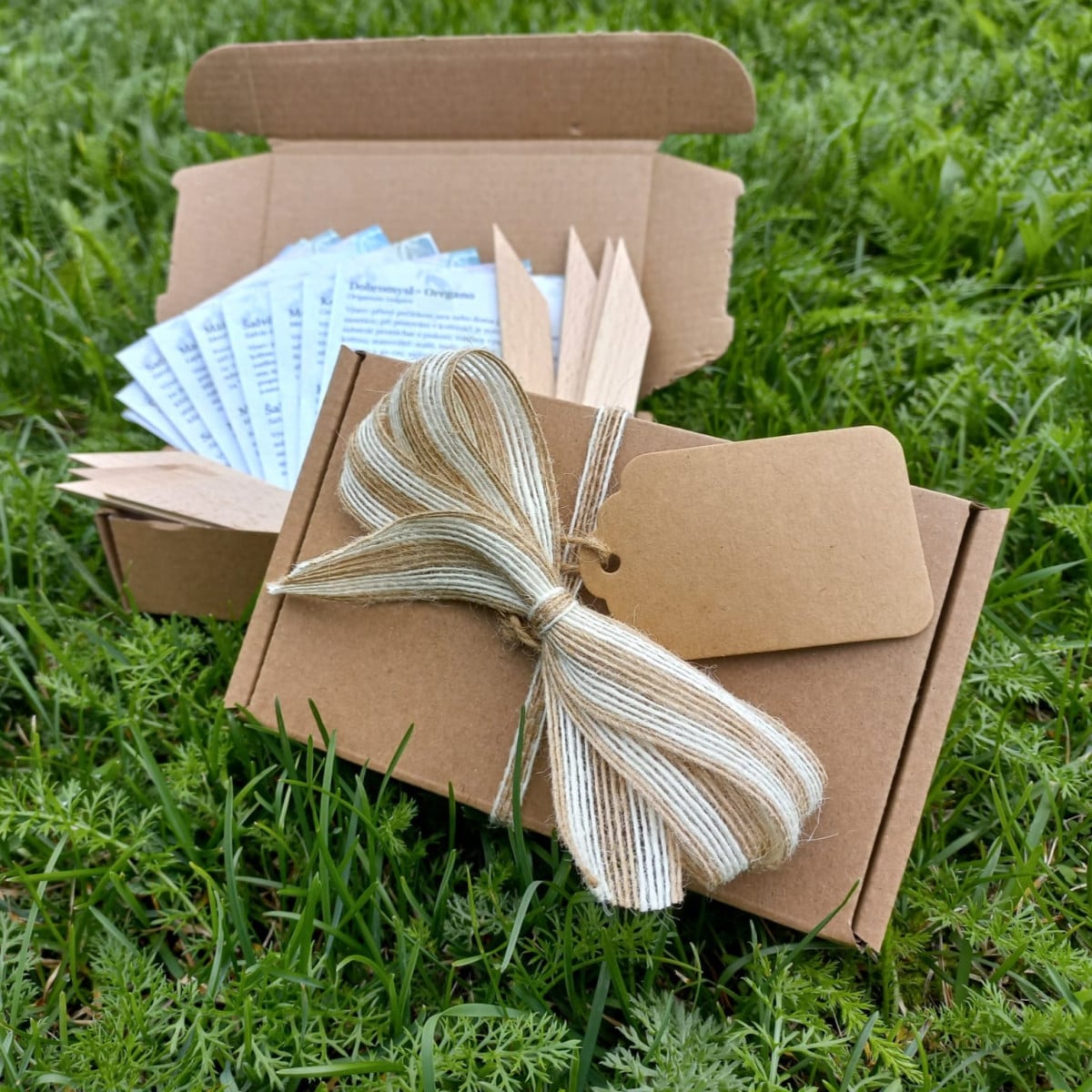 Dárkový set pro muže - balíček semínek