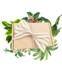 Dárkový set pro pěstitele pokojových rostlin - balíček semínek