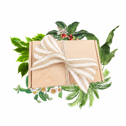 Dárkový set pro pěstitele pokojových rostlin - balíček semínek