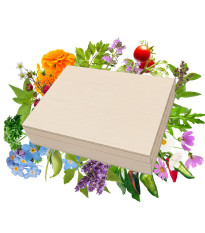 Top balení semen v dřevěné krabičce – dárkový set