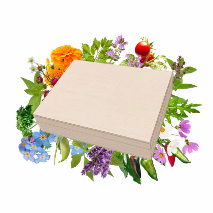 Top balení semen v dřevěné krabičce – dárkový set