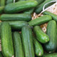 Okurka salátová Little Snack F1 - Cucumis sativus - prodej semen - 8 ks