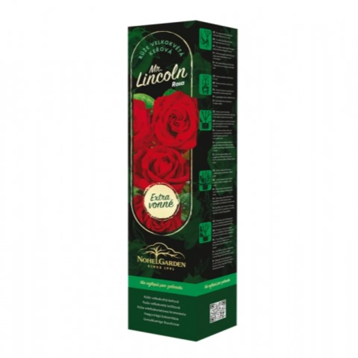 Růže velkokvětá keřová - Fragrant Mister Lincoln - Rosa - prodej prostokořenných sazenic - 1 ks