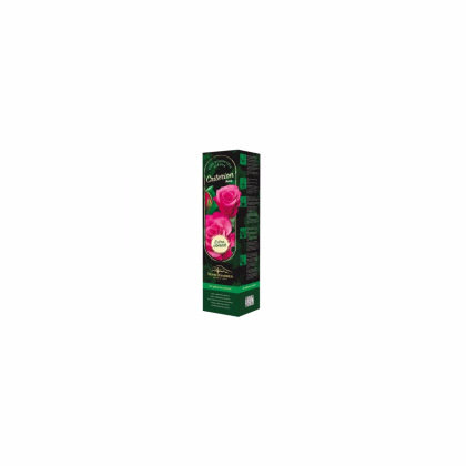 Růže velkokvětá keřová - Fragrant Criterion – Rosa – prodej sazenic růží