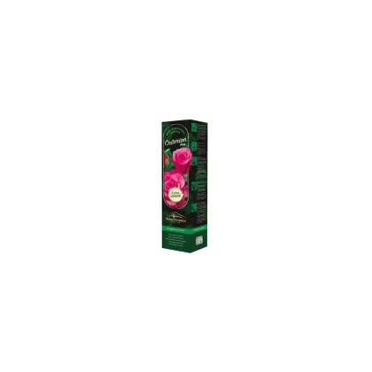 Růže velkokvětá keřová - Fragrant Criterion – Rosa – prodej sazenic růží