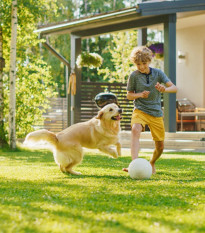 BIO Travní osivo - univerzální - Sativa - prodej semen - 500 g