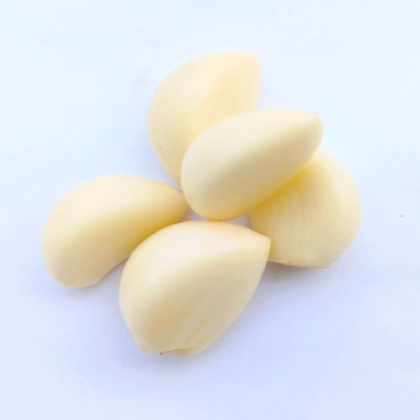 Sadbový česnek Dukát - Allium sativum - paličák - prodej cibulí česneku - 1 balení