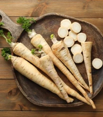 Petržel kořenová zahradní Efez - Petroselinum crispum - prodej semen - 700 ks