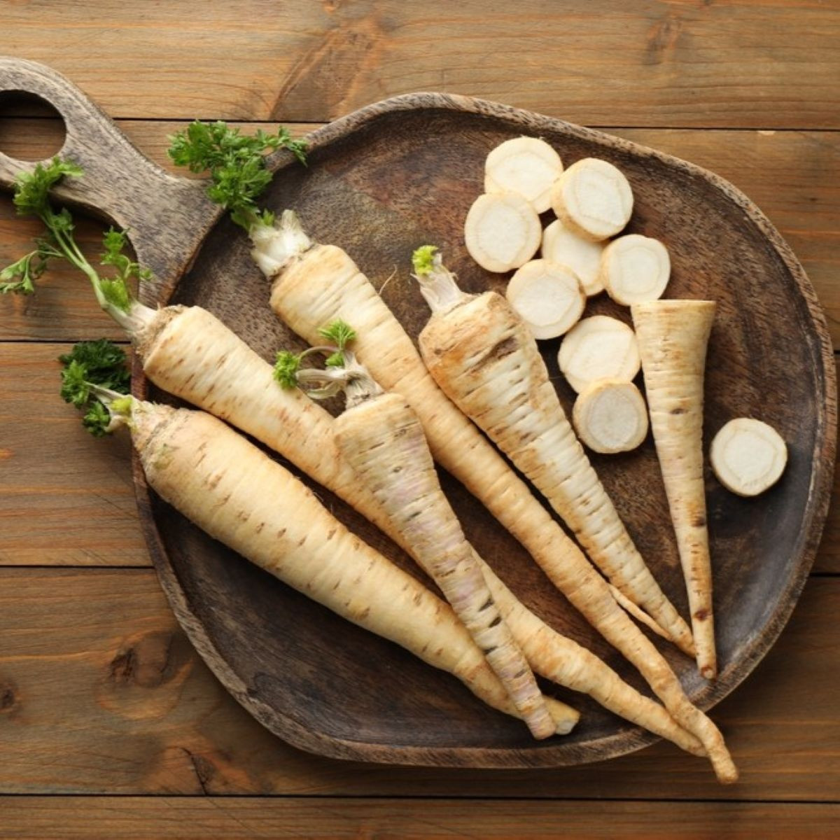 Petržel kořenová zahradní Efez – Petroselinum crispum – prodej semen