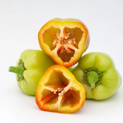 Paprika Amy - Capsicum annuum - prodej semen - 50 ks