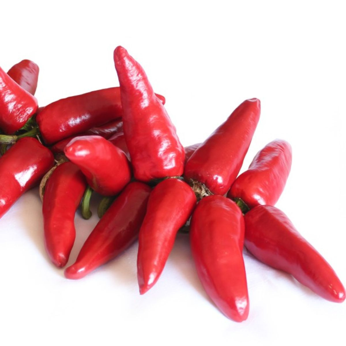 Chilli Jalapeno - Capsicum annuum - prodej semen - 6 ks