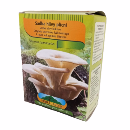 Hlíva plicní - Pleurotus pulmonarius - sadba - prodej - 250 ml
