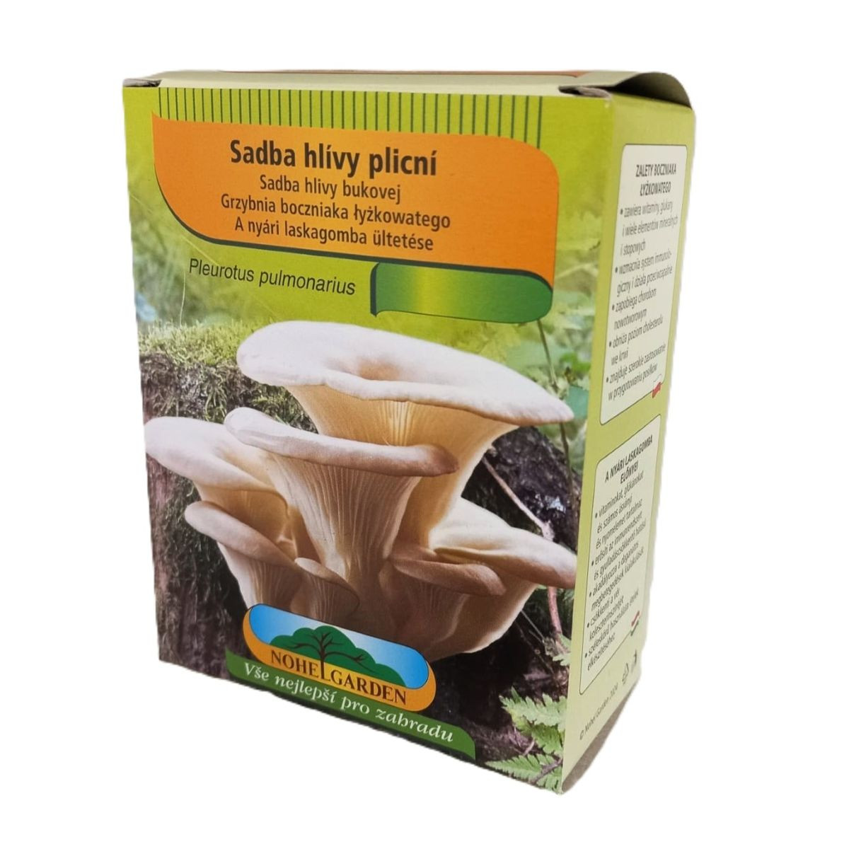 Hlíva plicní - Pleurotus pulmonarius - sadba - prodej - 250 ml