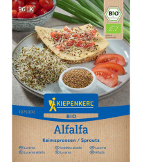 BIO Alfalfa - Vojtěška - Kiepenkerl - prodej bio semen na klíčení - 40 g