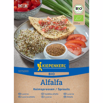 BIO Alfalfa - Vojtěška - Kiepenkerl - prodej bio semen na klíčení - 40 g