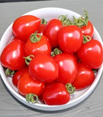 Rajče tyčkové Gardenberry F1 - Solanum lycopersicum - prodej semen - 5 ks