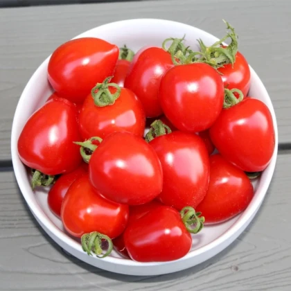 Rajče tyčkové Gardenberry F1 - Solanum lycopersicum - prodej semen - 5 ks