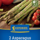 Chřest Boonlim – Asparagus officinalis – prodej sazenic chřestu