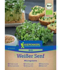 BIO Bílá hořčice - microgreens - prodej semen - 50 g