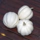 Tykev White Pearl - Cucurbita pepo - prodej semen - 6 ks
