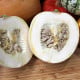 Tykev White Pearl - Cucurbita pepo - prodej semen - 6 ks