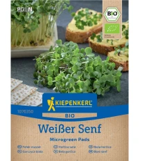 Mikrozelenina - náhradní pláty bio hořčice - microgreen - 3 ks