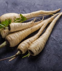 Pastiňák Javelin F1 - Pastinaca sativa - prodej semen - 0,3 g