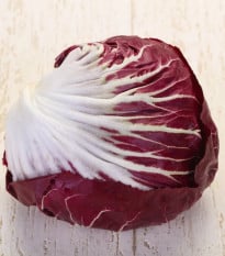 Čekanka Radicchio Indigo F1 - Cichorium intybus - prodej semen - 20 ks