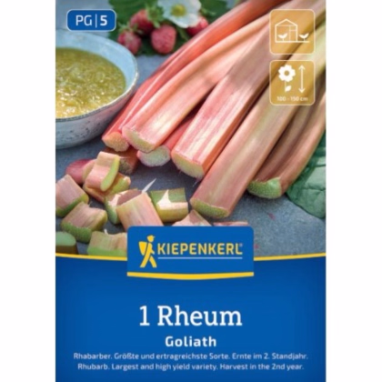 Rebarbora Goliath - Rheum rhabarbarum - prodej prostokořenných sazenic - 1 ks