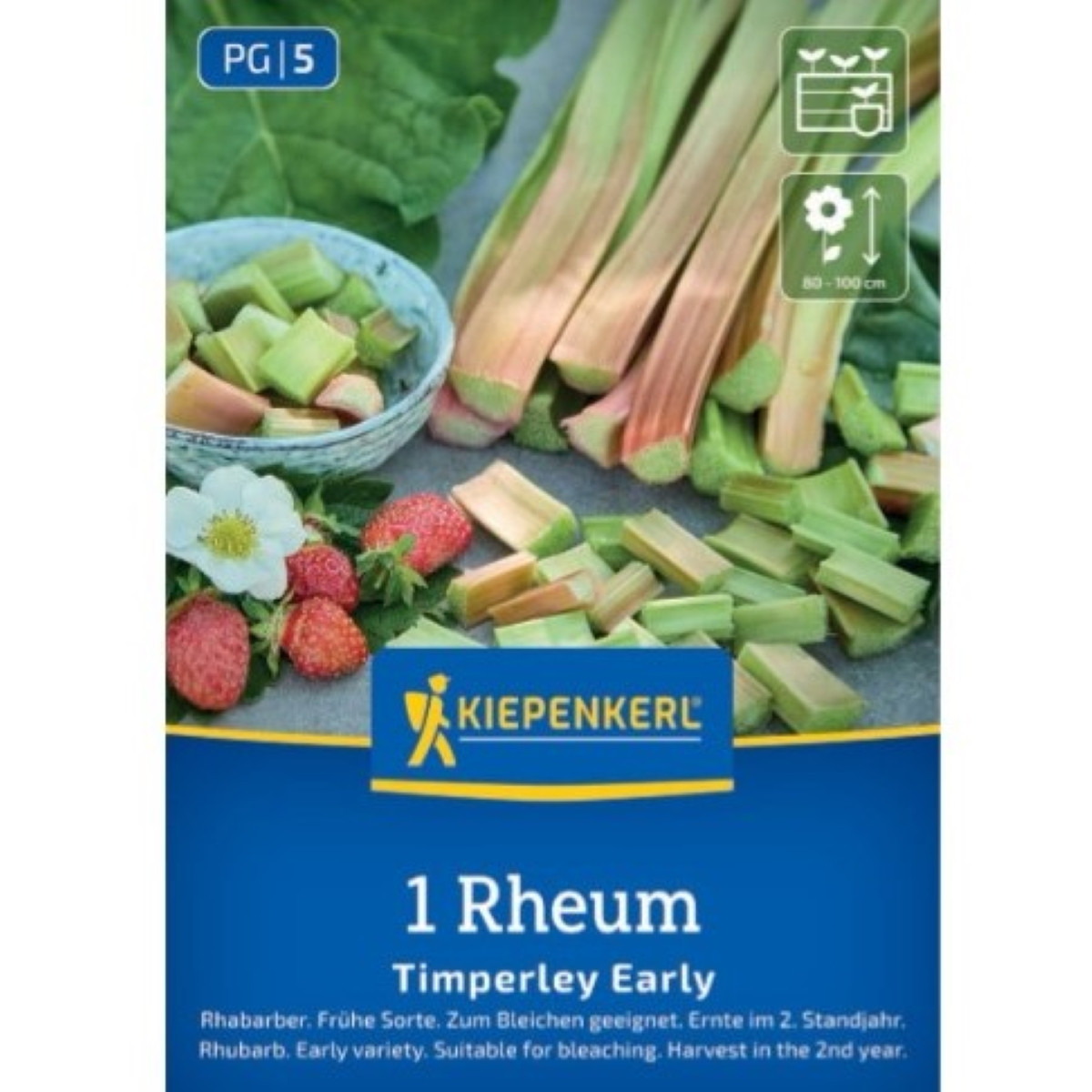 Rebarbora Timperley Early - Rheum rhabarbarum - prodej prostokořenných sazenic - 1 ks