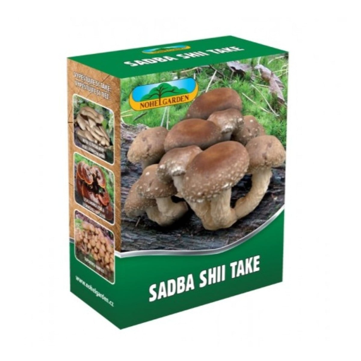 Shii take - Houževnatec jedlý - Lentinula edodes - sadba - prodej - 250 ml