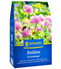 Zelené hnojení - červený jetel - prodej semen - 400 g