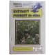 Květnatý podrost do stínu - Planta Naturalis - prodej semen - 40 g