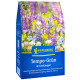 Zelené hnojení Tempo Grun - prodej semen - 500 g