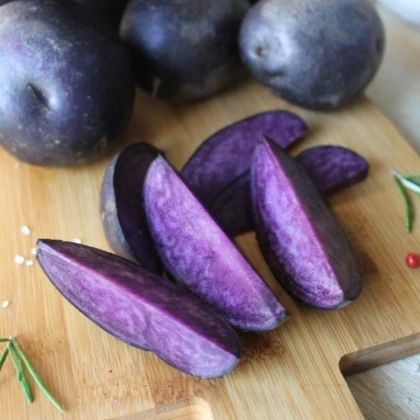 Sadbové brambory Violet Star - Solanum tuberosum - prodej sadby - 5 ks
