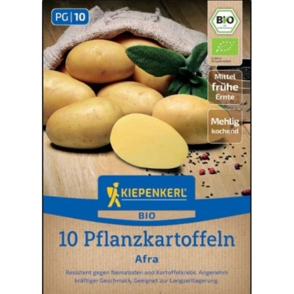 BIO sadbové brambory Afra - Solanum tuberosum - prodej bio sadby - 10 ks