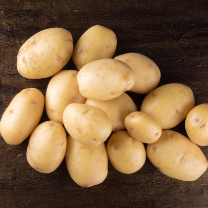 BIO sadbové brambory Afra - Solanum tuberosum - prodej bio sadby - 10 ks