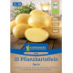 BIO sadbové brambory Agria - Solanum tuberosum - prodej bio sadby - 10 ks