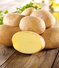 Sadbové brambory Gunda - Solanum tuberosum - prodej sadby - 10 ks