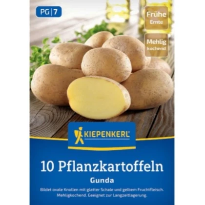Sadbové brambory Gunda - Solanum tuberosum - prodej sadby - 10 ks