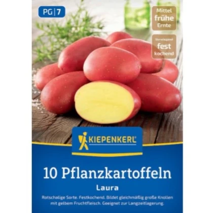 Sadbové brambory Laura - Solanum tuberosum - prodej sadby - 10 ks