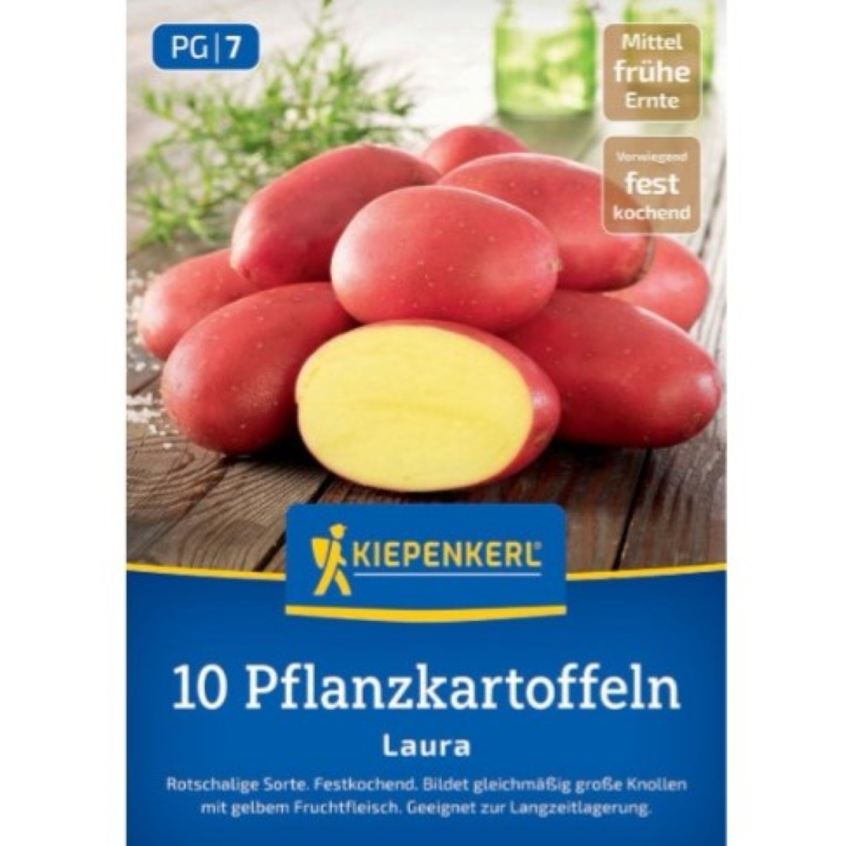 Sadbové brambory Laura - Solanum tuberosum - prodej sadby - 10 ks