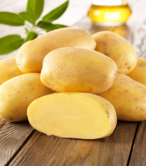 Sadbové brambory Sieglinde - Solanum tuberosum - sadba brambor - 10 ks