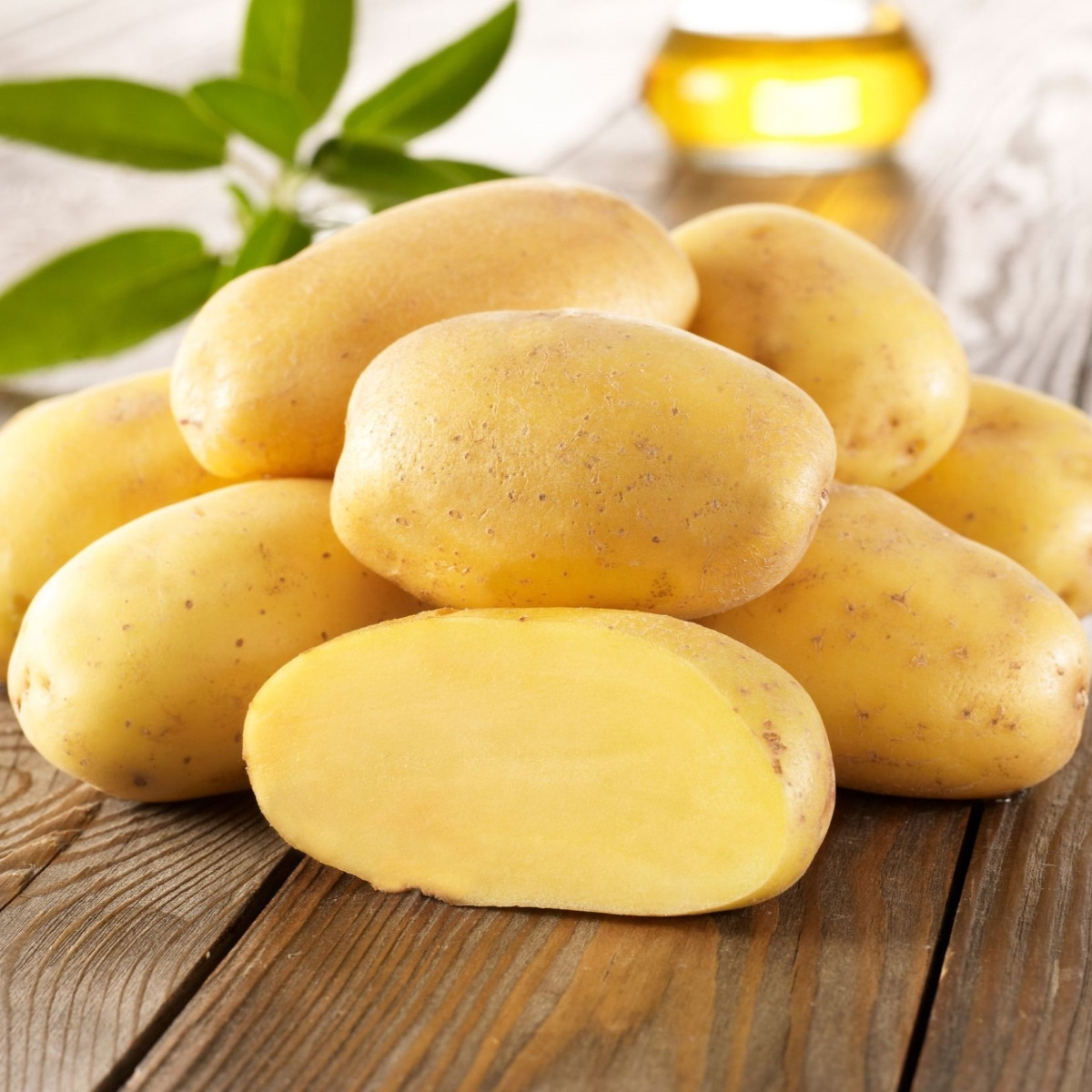 Sadbové brambory Sieglinde - Solanum tuberosum - sadba brambor - 10 ks